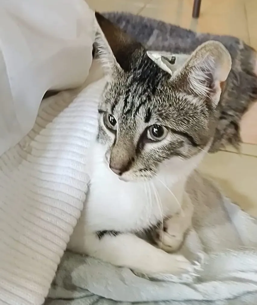 WhatsApp Image 2025-02-23 at 7.25.43 PM