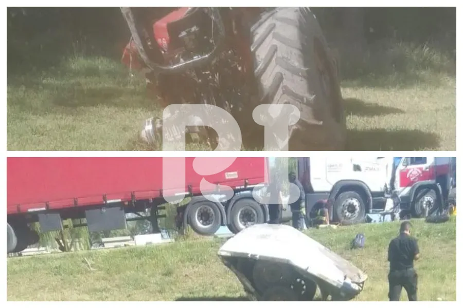 WhatsApp Image 2025-01-21 at 18.43.35