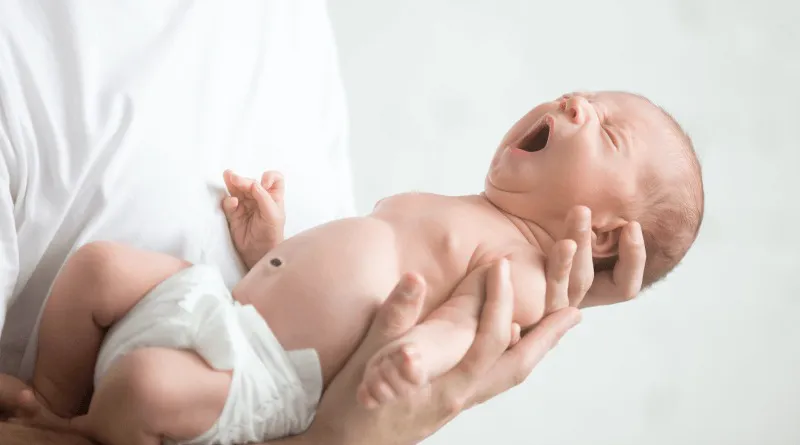 Imagen de WhatsApp 2025-11-23 a las 10.09.22_eed9b3c9