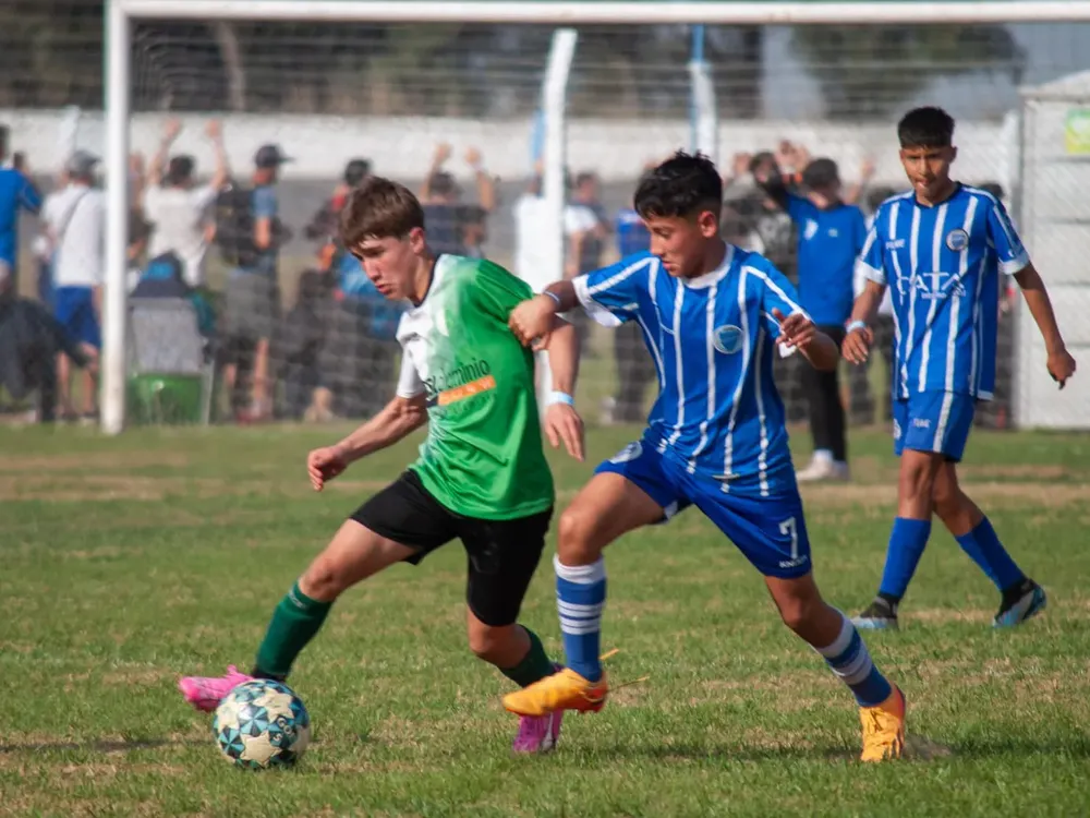 WhatsApp Image 2024-08-17 at 08.49.15