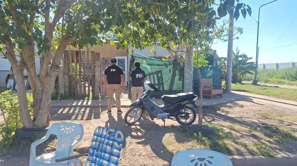 WhatsApp Image 2025-02-08 at 4.02.58 PM