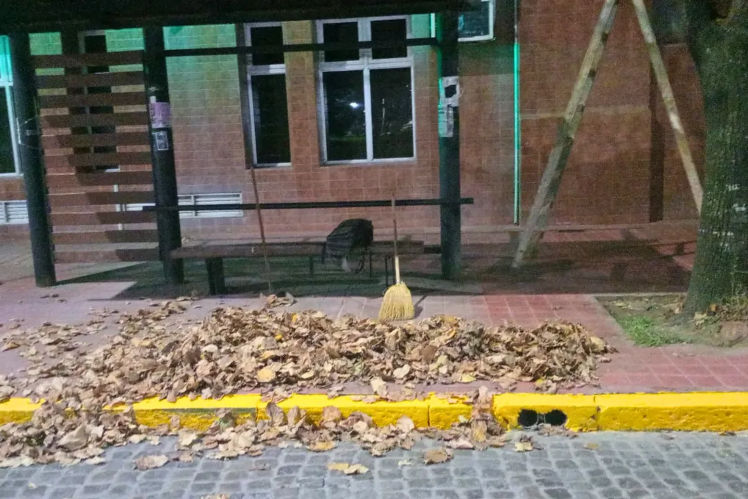 Una ciudad más limpia (2)