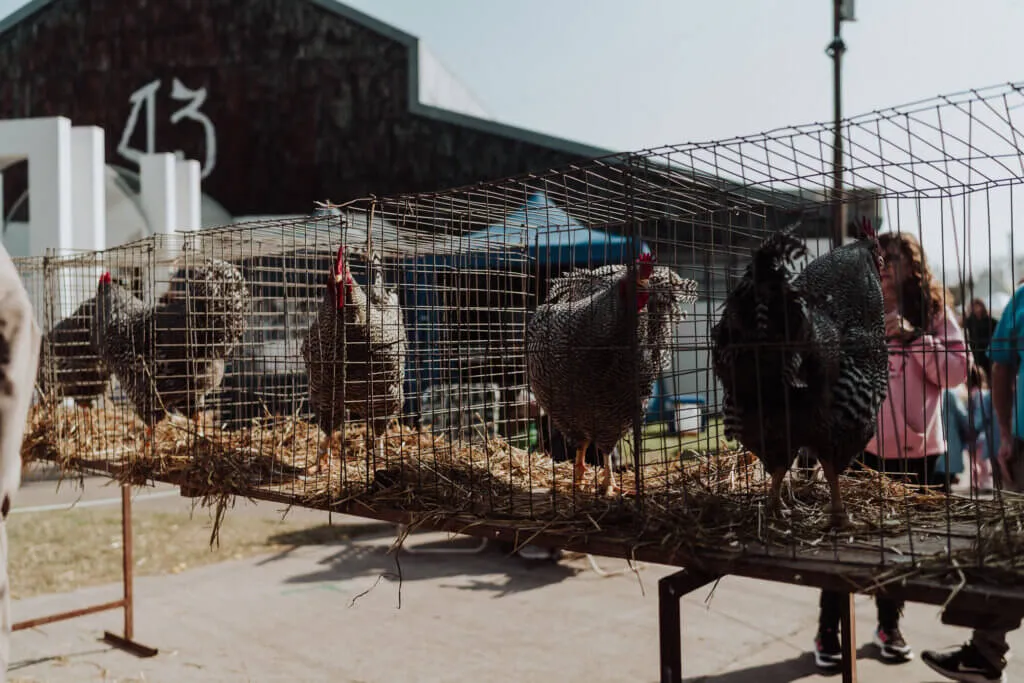 c09f819c-a81a-45ee-ac49-32057243e012