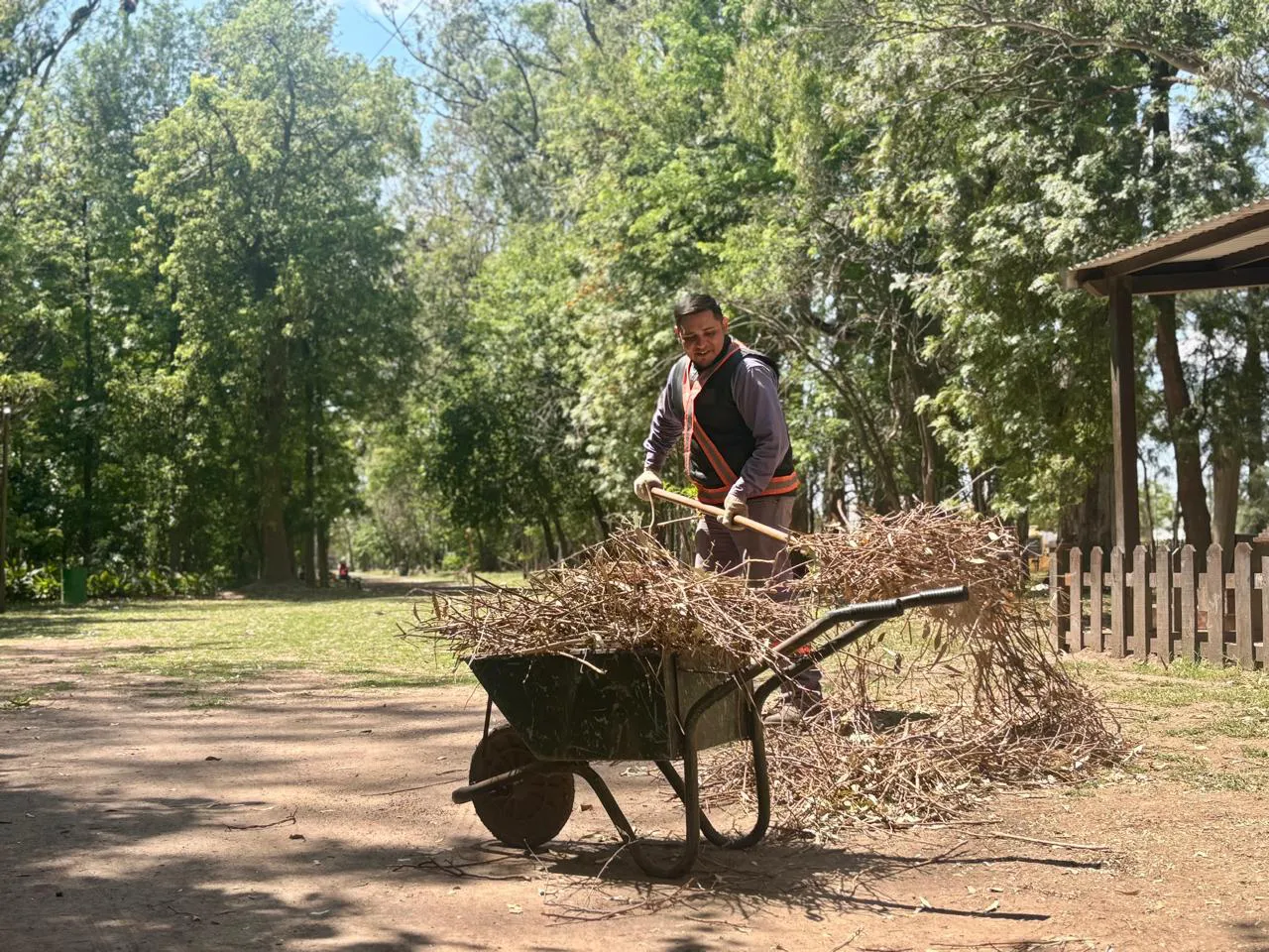 Imagen de WhatsApp 2025-10-31 a las 14.43.57_059bd1bb