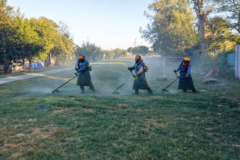 WhatsApp Image 2026-01-14 at 1.53.00 PM