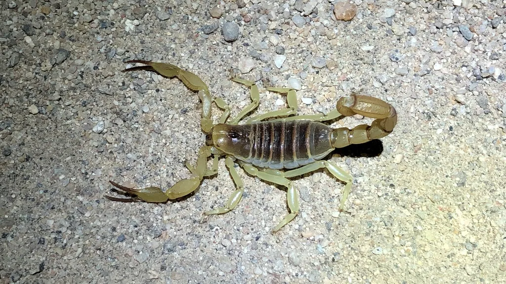 WhatsApp Image 2025-02-11 at 8.52.59 AM