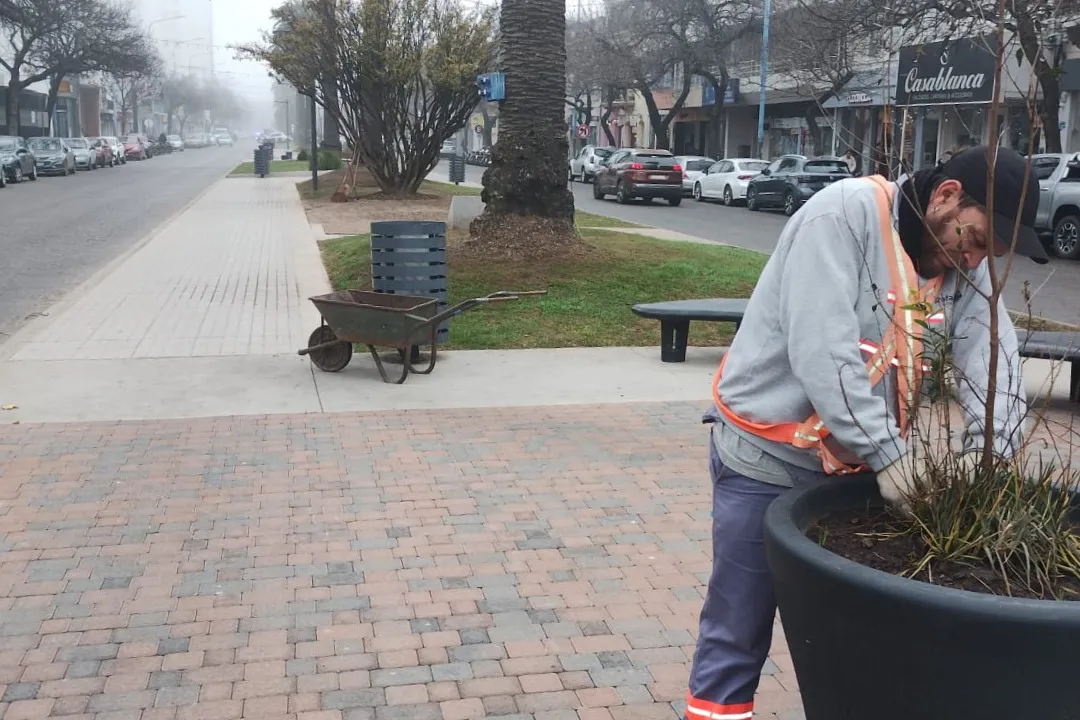 Imagen de WhatsApp 2025-06-10 a las 23.15.40_3e9b24d6