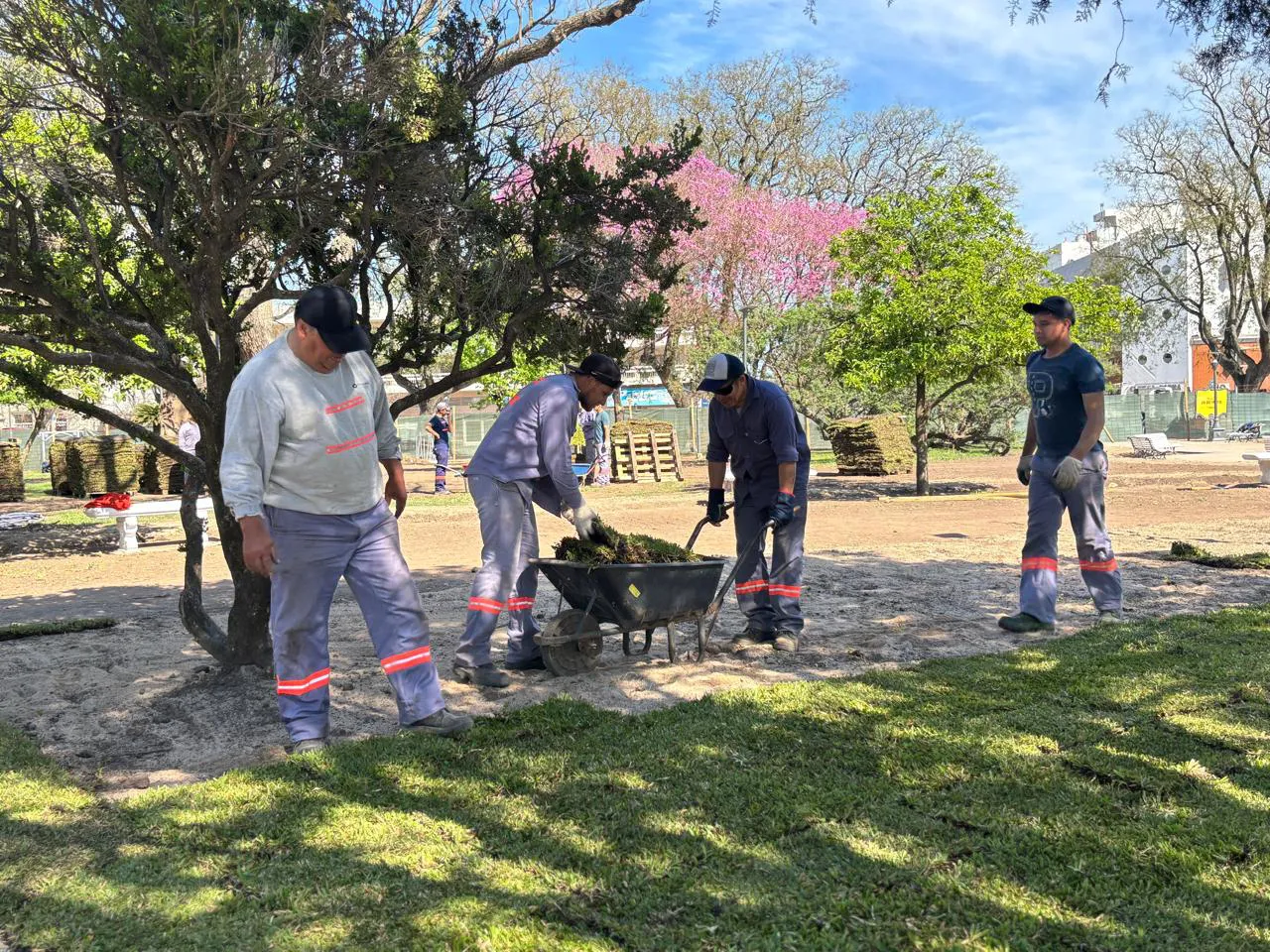 Imagen de WhatsApp 2025-10-02 a las 15.40.02_02f0e963