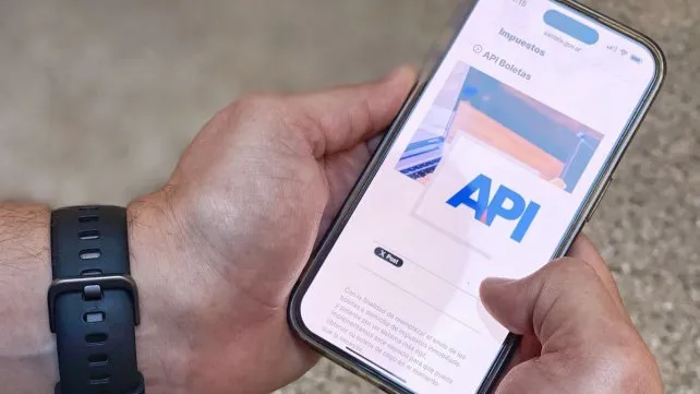 api-boletas-impuestosjpg