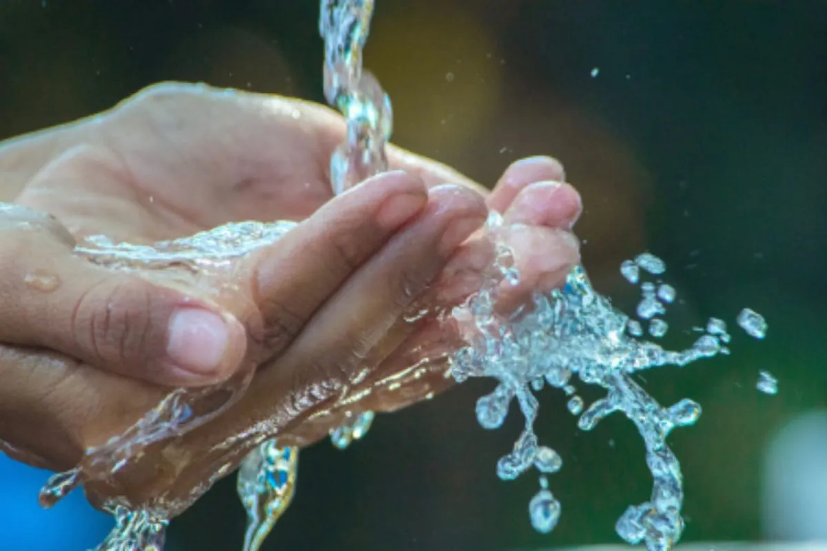 WhatsApp Image 2025-03-22 at 12.16.30 PM