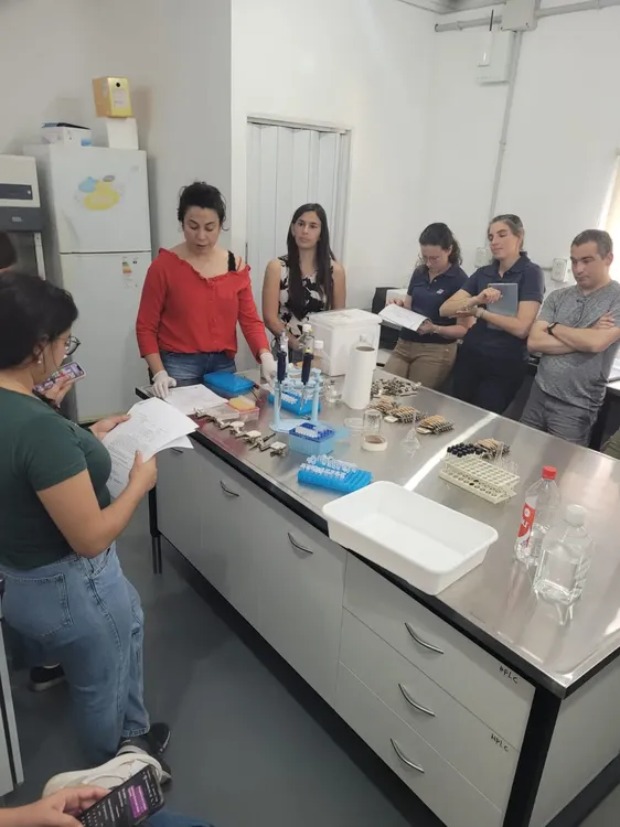 Imagen de WhatsApp 2025-10-24 a las 11.11.47_0e2f6883