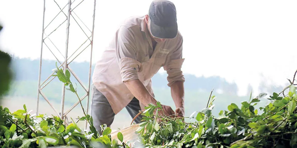 Imagen de WhatsApp 2025-12-10 a las 10.48.04_cdecb3f5