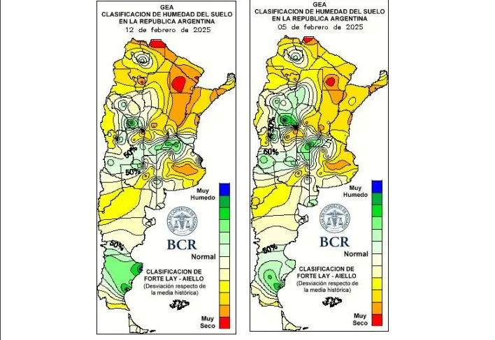 WhatsApp Image 2025-02-13 at 7.24.26 PM