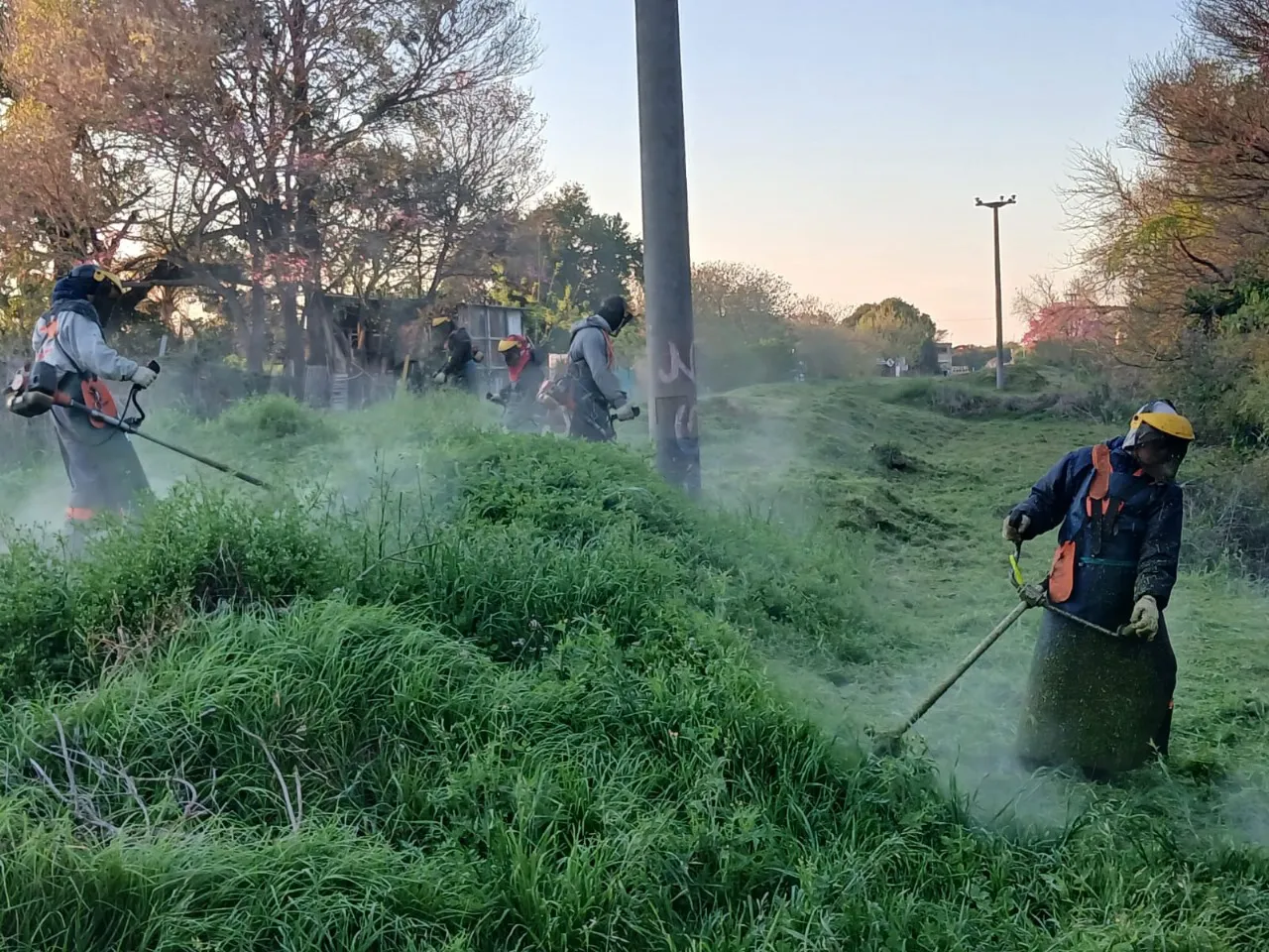 Imagen de WhatsApp 2025-09-30 a las 08.43.59_f8041f47