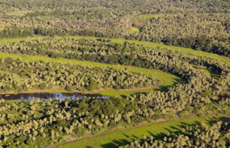 78a303974981e912c687600b26ffd065_M