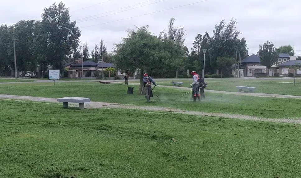 Captura de pantalla 2025-05-20 132811