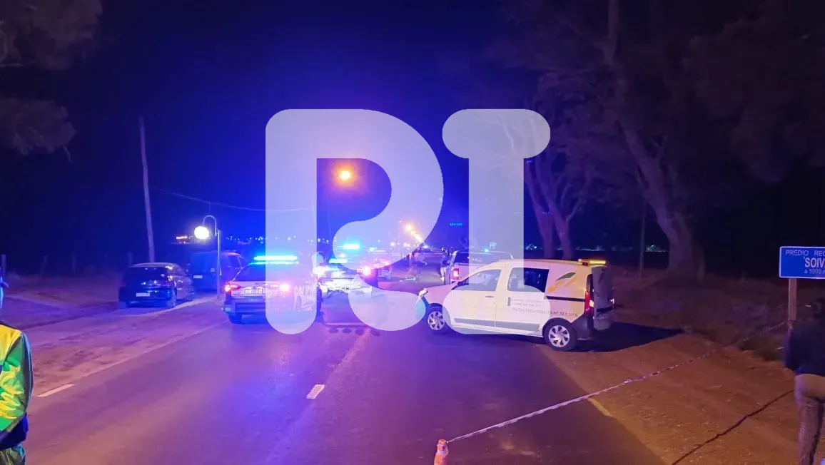 dd4a6f8d-6fd1-490e-9112-d61ca91dbcf9