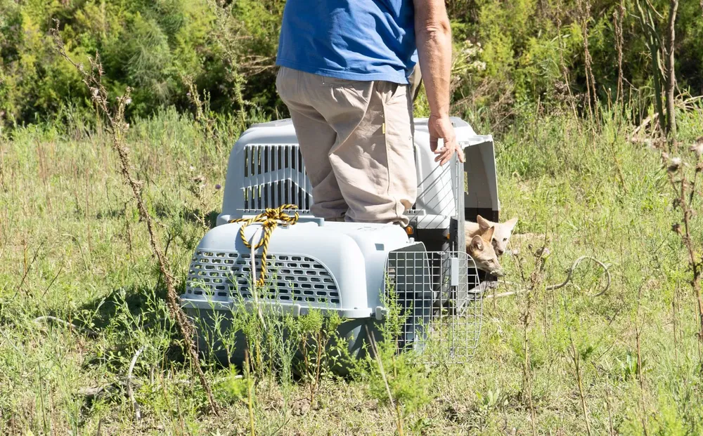 Imagen de WhatsApp 2025-10-23 a las 07.44.58_04f6a2c6