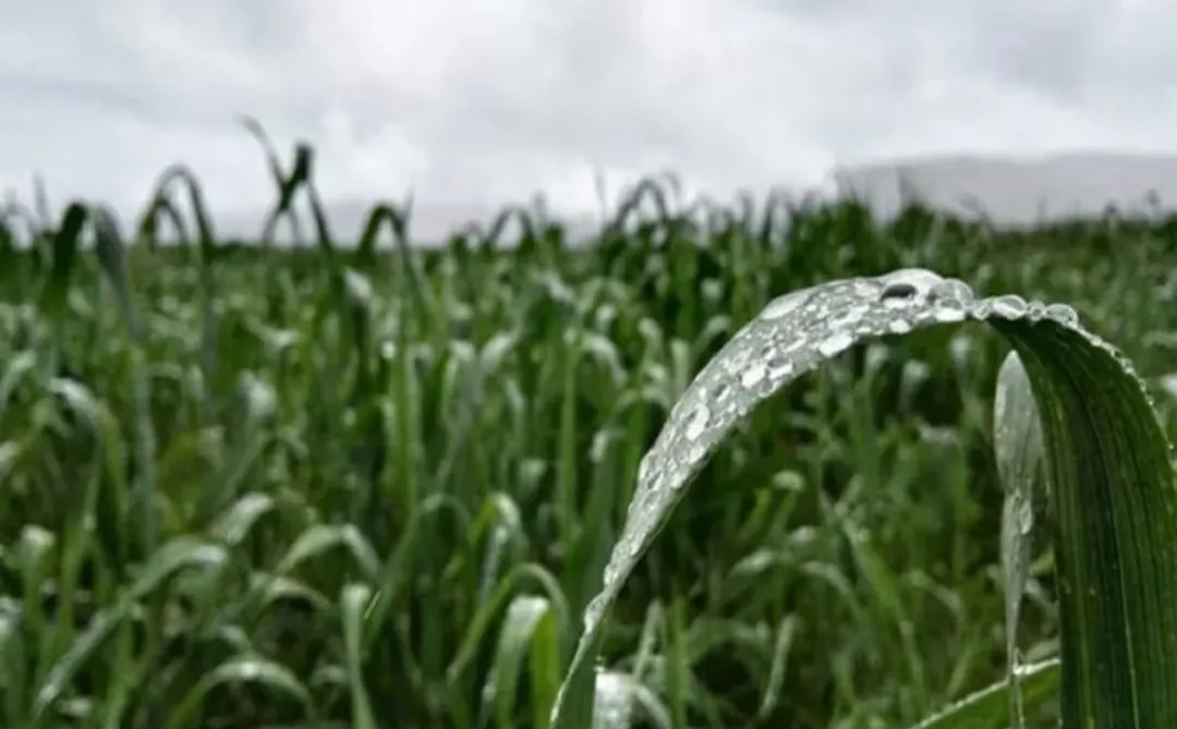 Screenshot_20240910_202036_Gallery