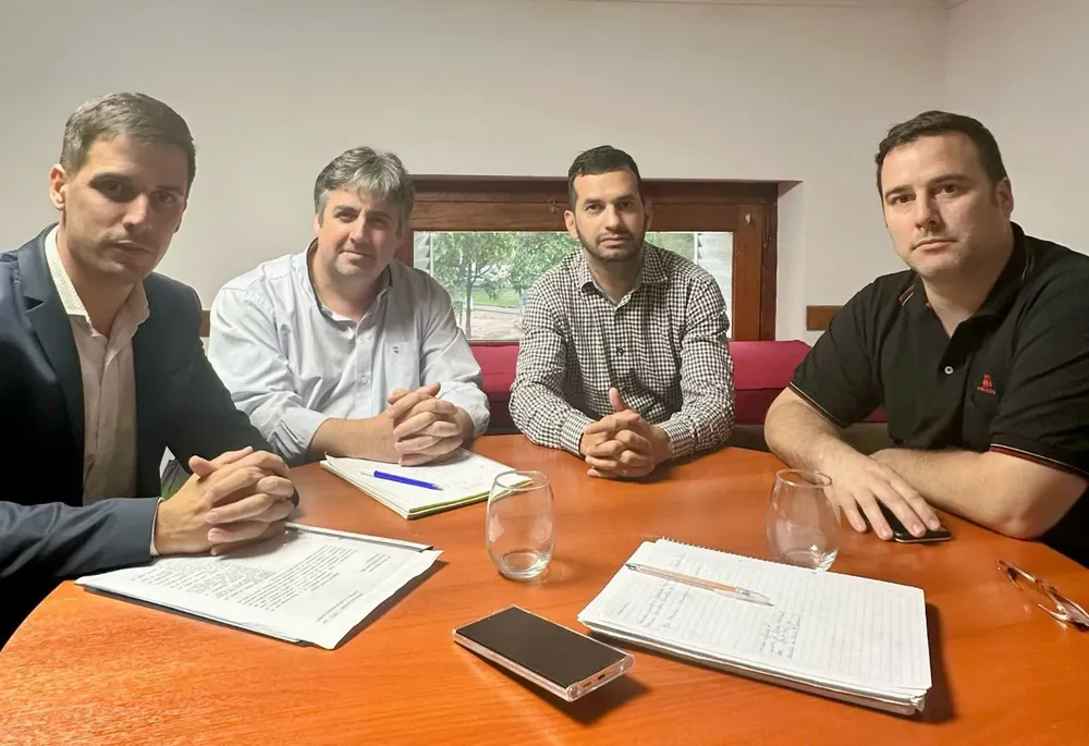 viotti seguridad