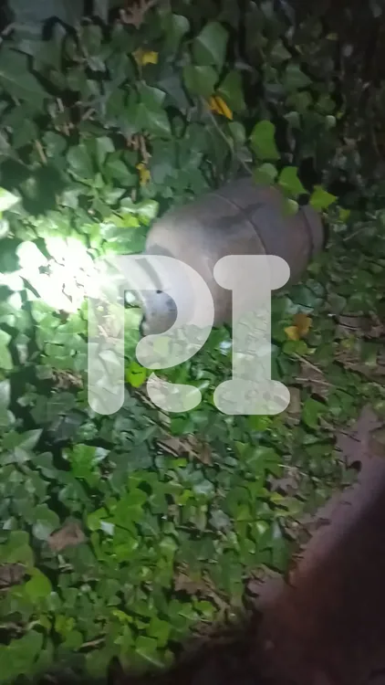 WhatsApp Image 2025-01-10 at 17.15.21