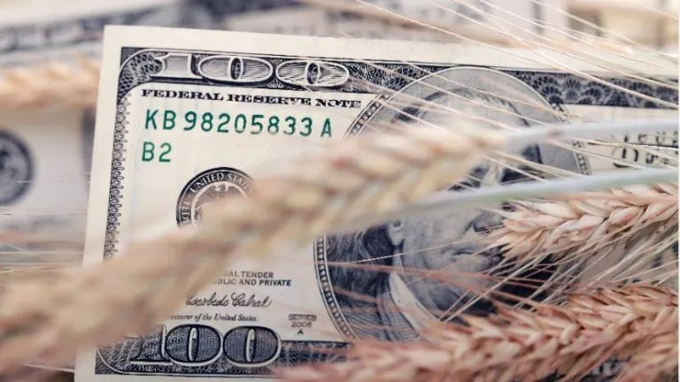 dolar_liquidacion_agro_campo.jpg_258117318-768x432