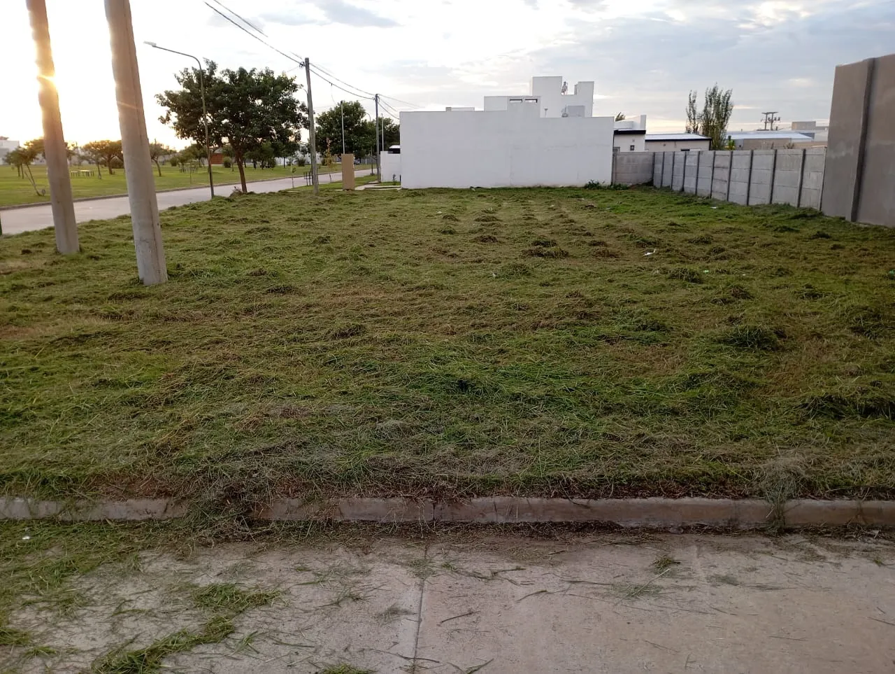 WhatsApp Image 2025-04-24 at 14.53.36