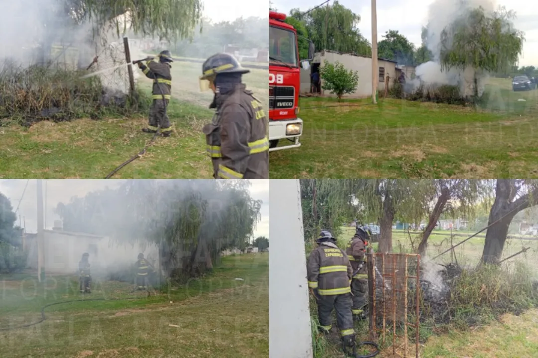 foto para portal (2)