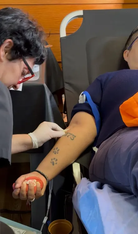 Imagen de WhatsApp 2025-08-28 a las 09.38.50_a35af7e5