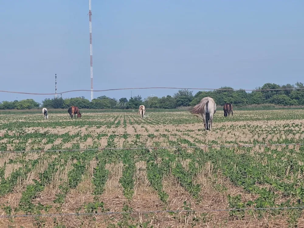 WhatsApp Image 2025-12-27 at 12.48.19 PM