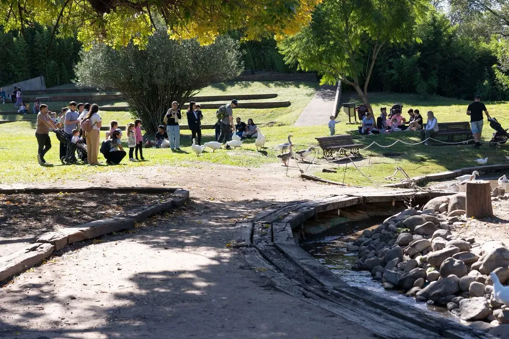 WhatsApp Image 2025-04-21 at 9.00.58 AM