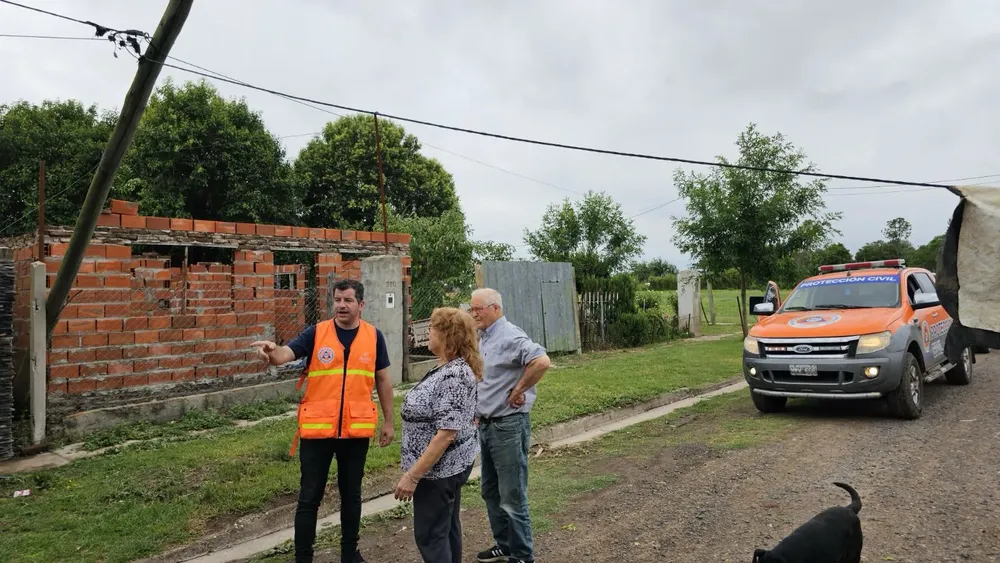 WhatsApp Image 2024-11-25 at 2.39.31 PM