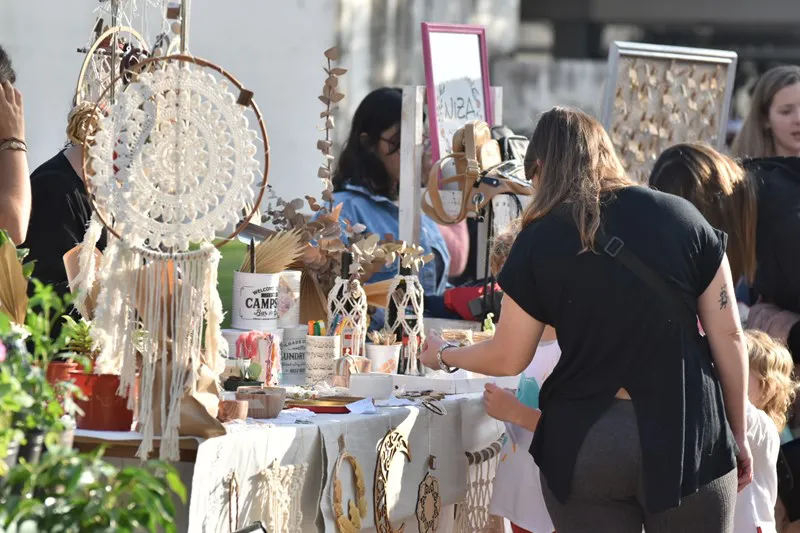 o_multimedia.normal.826d949c387a3ced.MTYgZWwgZG9taW5nb19ub3JtYWwud2VicA==