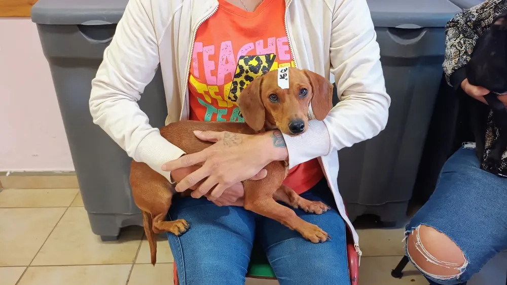 WhatsApp Image 2026-01-11 at 8.46.46 PM