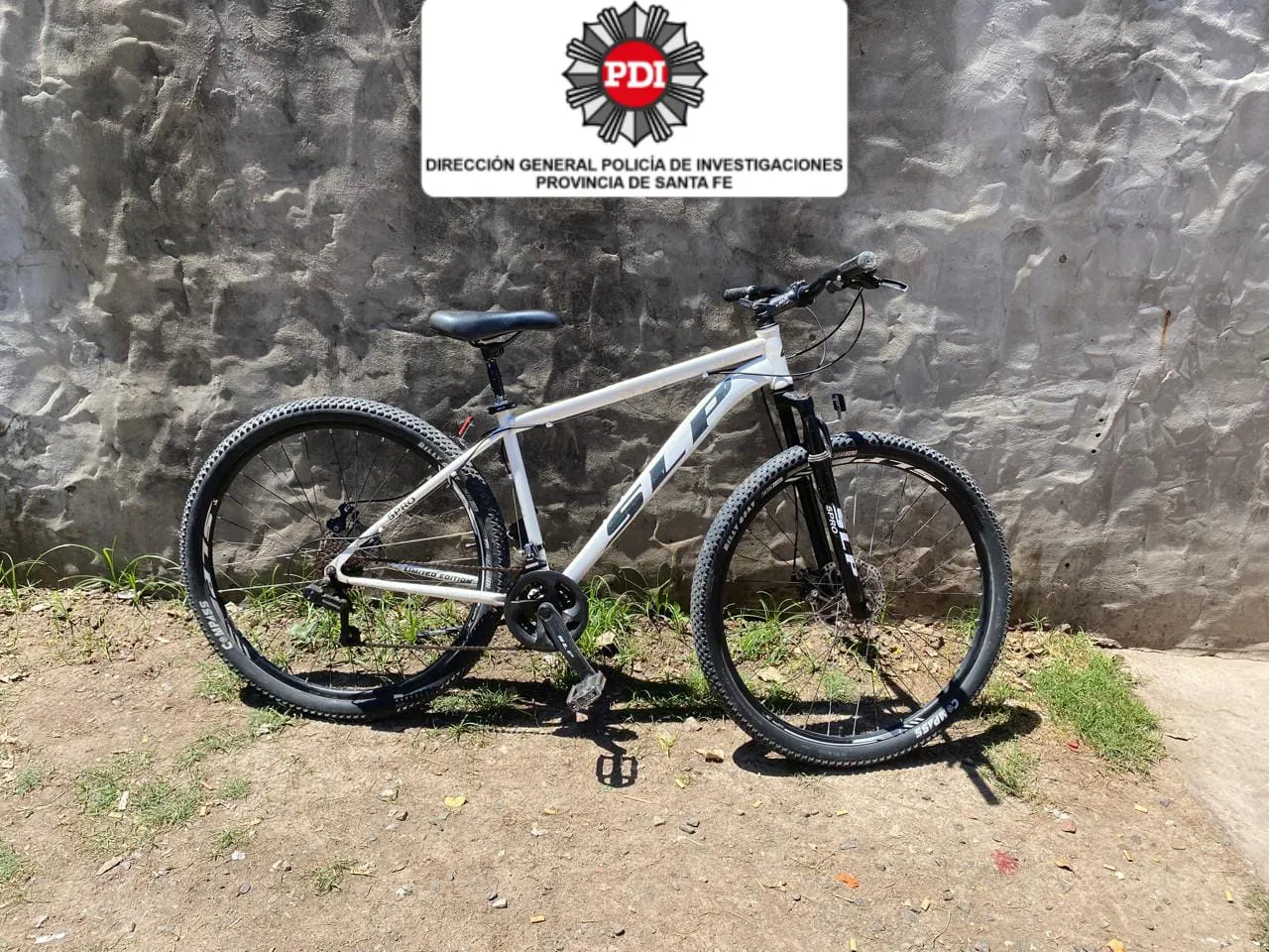 WhatsApp Image 2024-10-19 at 17.24.18