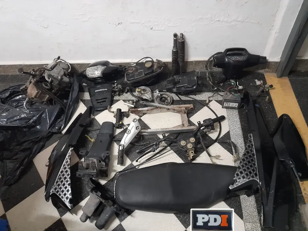 WhatsApp Image 2024-11-23 at 9.39.58 AM