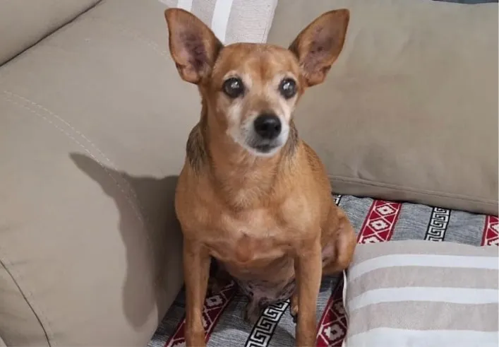 WhatsApp Image 2026-02-15 at 5.56.19 PM