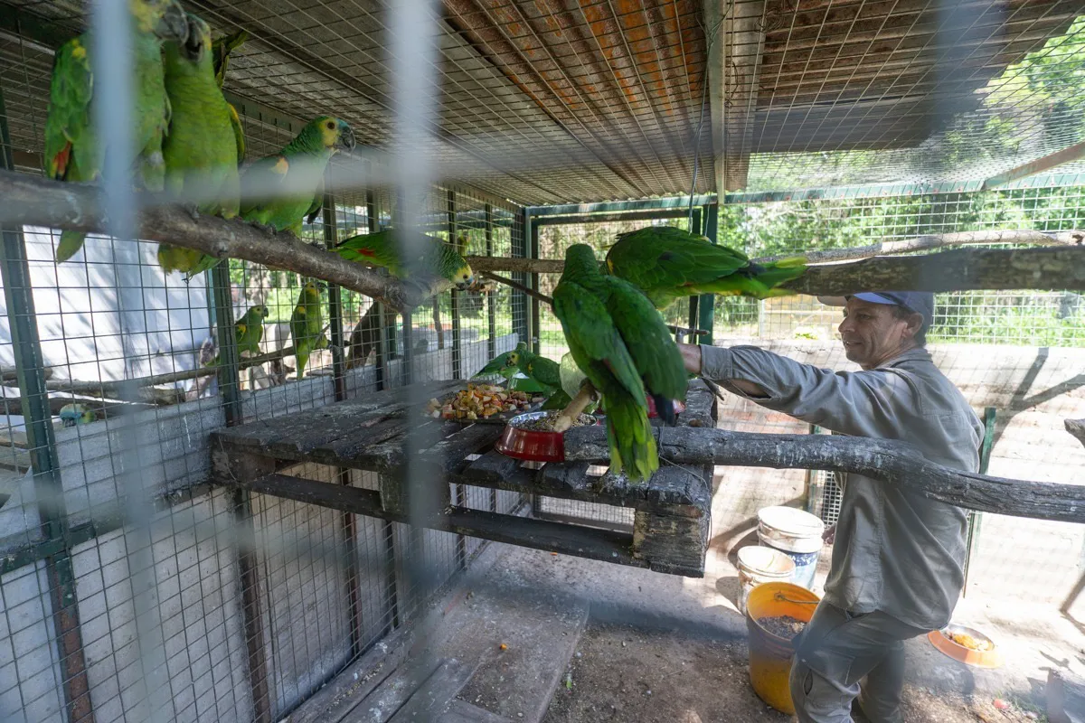 cc3bb358-96cb-43a6-af5a-26b5cd733449