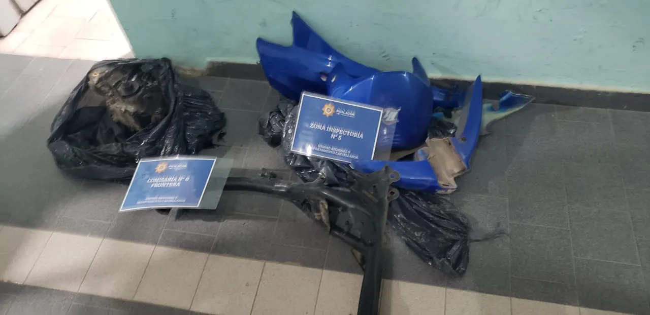 WhatsApp Image 2024-11-19 at 03.53.55