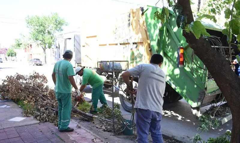 Imagen de WhatsApp 2025-11-15 a las 18.48.19_1925ab2d