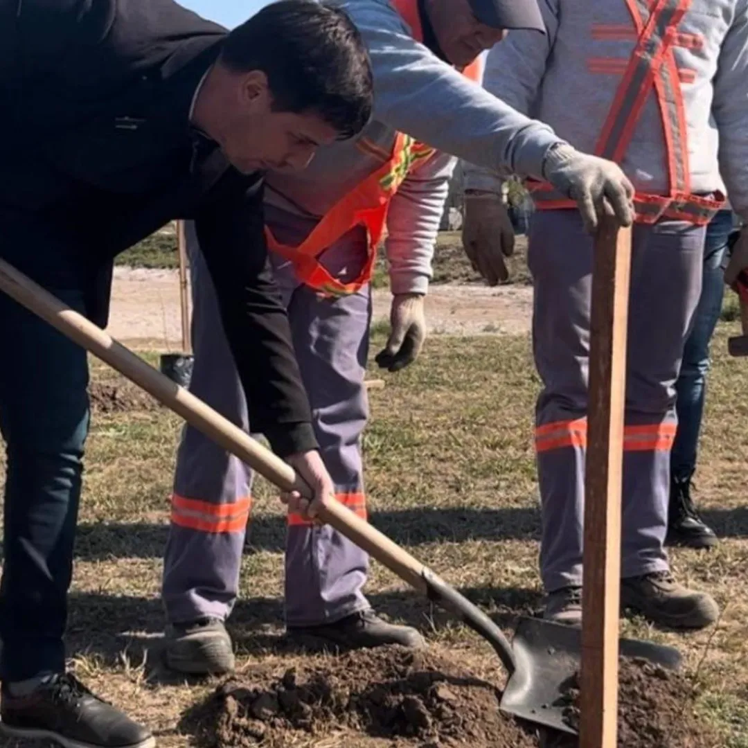 Imagen de WhatsApp 2025-06-07 a las 17.33.26_152ae8c4