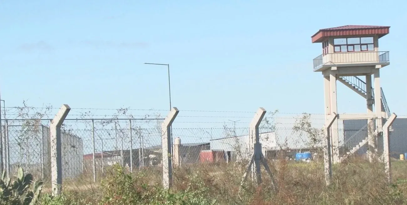 WhatsApp Image 2024-07-01 at 10.16.17