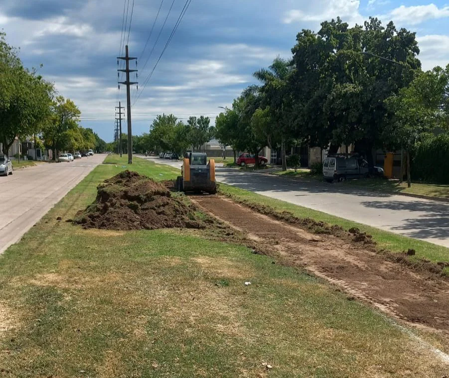 WhatsApp Image 2026-02-17 at 2.28.10 PM