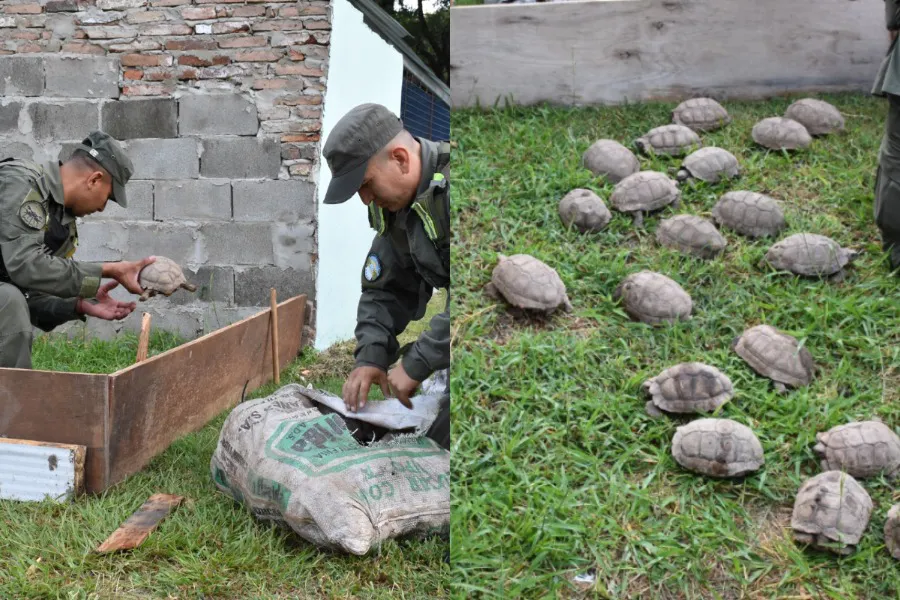 WhatsApp Image 2026-02-12 at 4.51.37 PM