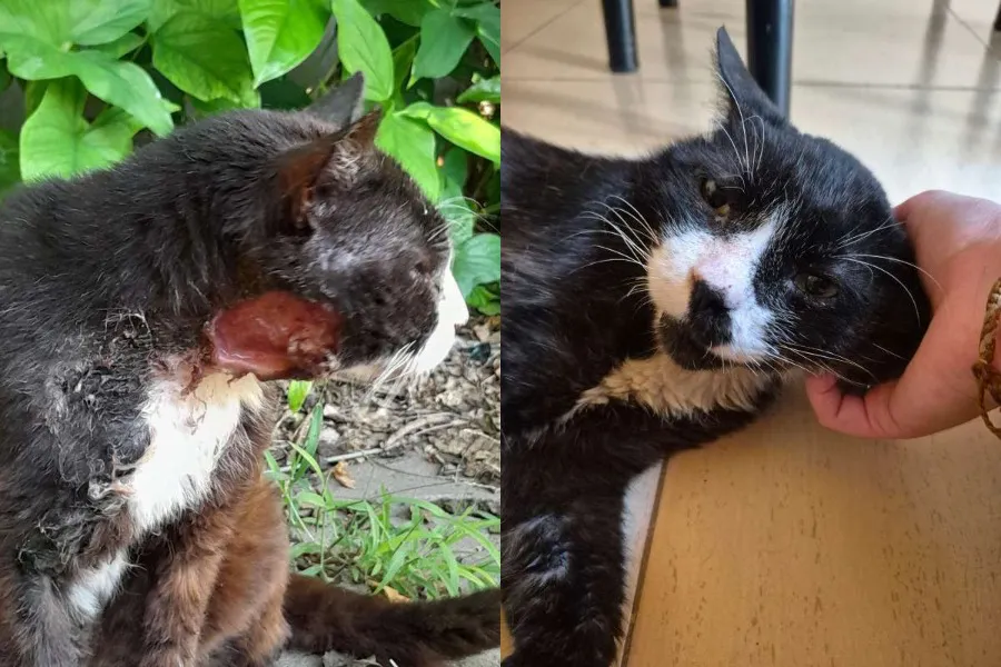 WhatsApp Image 2026-01-20 at 6.42.44 AM