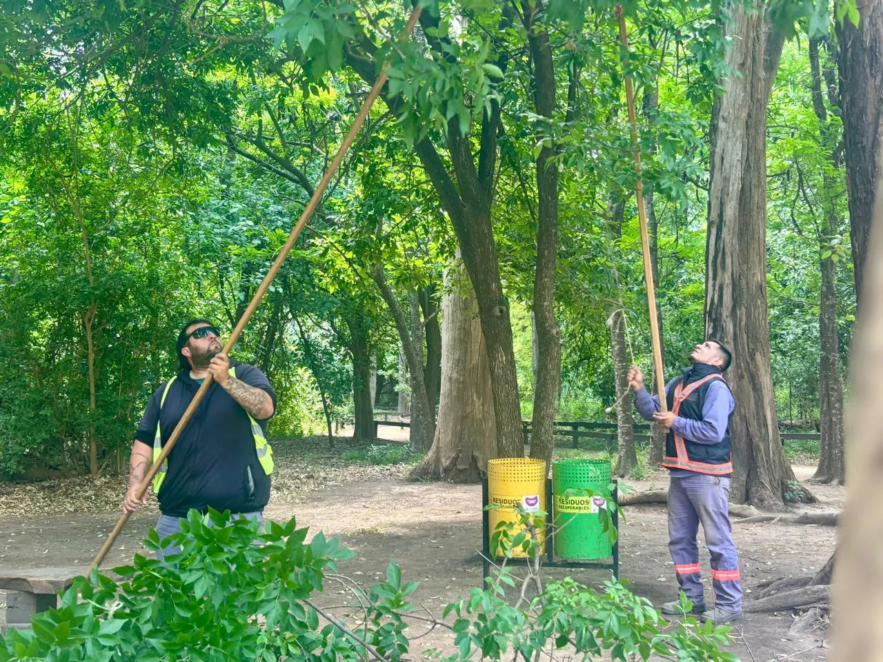 Imagen de WhatsApp 2025-10-31 a las 14.43.55_9a113349