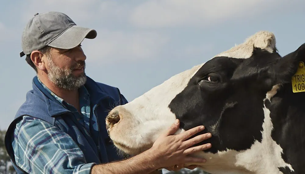 Leche-Lecheria-Tambo