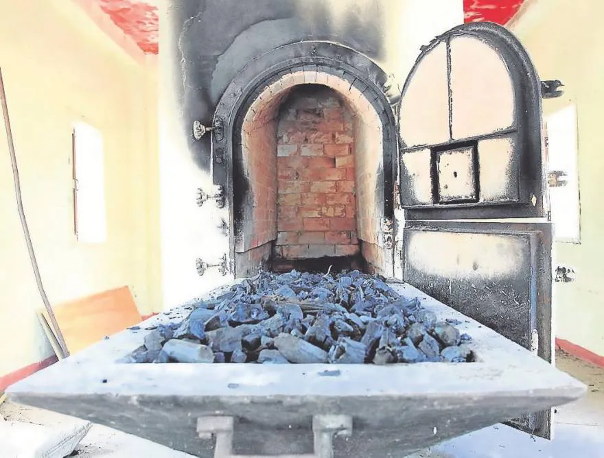 26310768-l_3117529_20200519182438