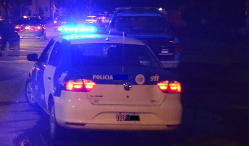 multimedia.normal.b5fcf2b5cf554434.70617472756c6c65726f5f6e6f726d616c2e6a7067