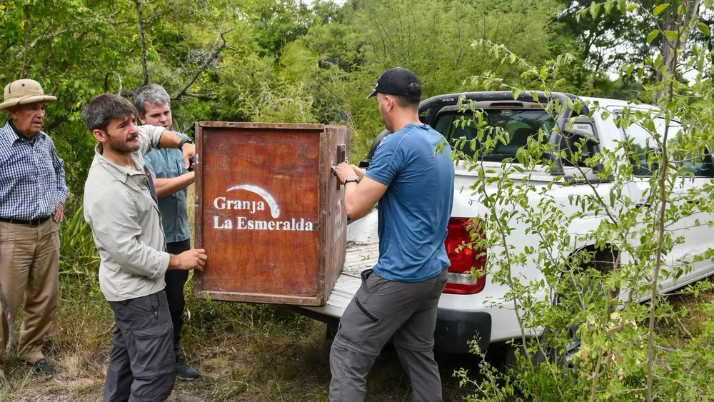 WhatsApp Image 2025-03-03 at 8.29.19 AM (1)